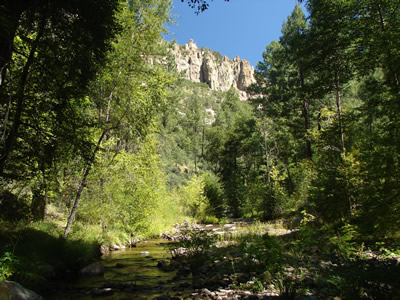 Mogollon Canyon